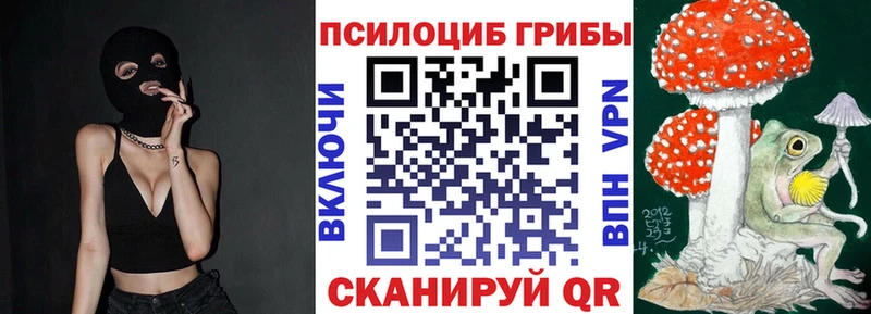 цены наркотик  Хабаровск  Псилоцибиновые грибы GOLDEN TEACHER 